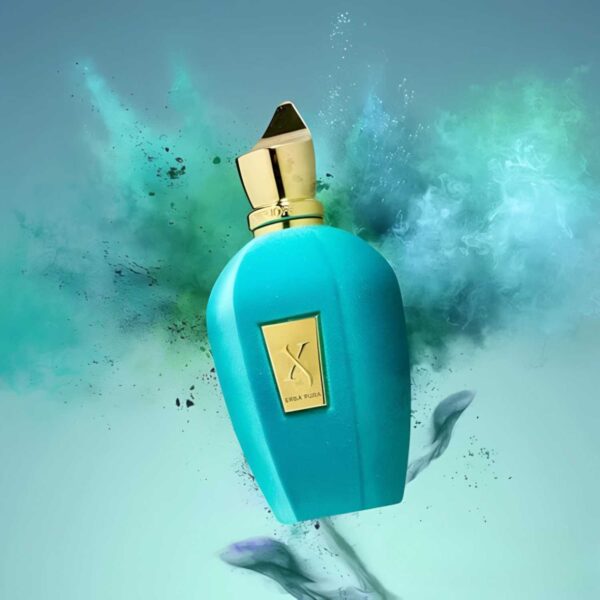 Xerjoff Erba Pura EDP 100 ml - Image 5