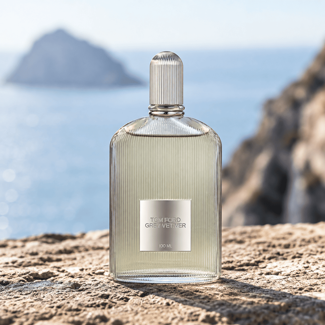 Tom Ford Grey Vetiver For Men EDP 100 ml - Imagen 6